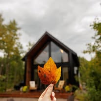 ely Cabin Collective