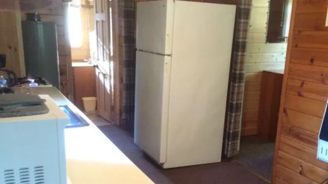 An inside look at the kitchen of the Alder cabin. IT has a microwave, stove, and refrigerator.