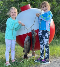 Arrowhead Outdoors