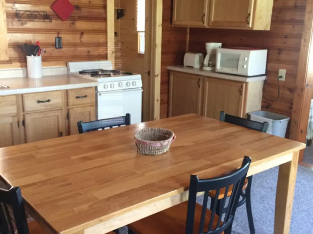 A view of the Ash cabin inside. It has a microwave and table.