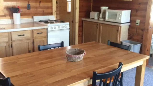 A view of the Ash cabin inside. It has a microwave and table.