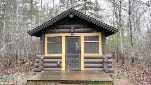 Bear head cabin