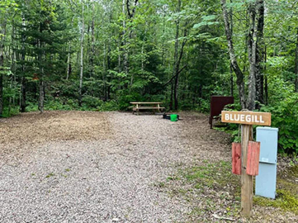 A view of the Bluegill campsite. It has a picnic table, fire ring, food storage container, electrical hookup, and a water spigot.