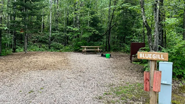A view of the Bluegill campsite. It has a picnic table, fire ring, food storage container, electrical hookup, and a water spigot.