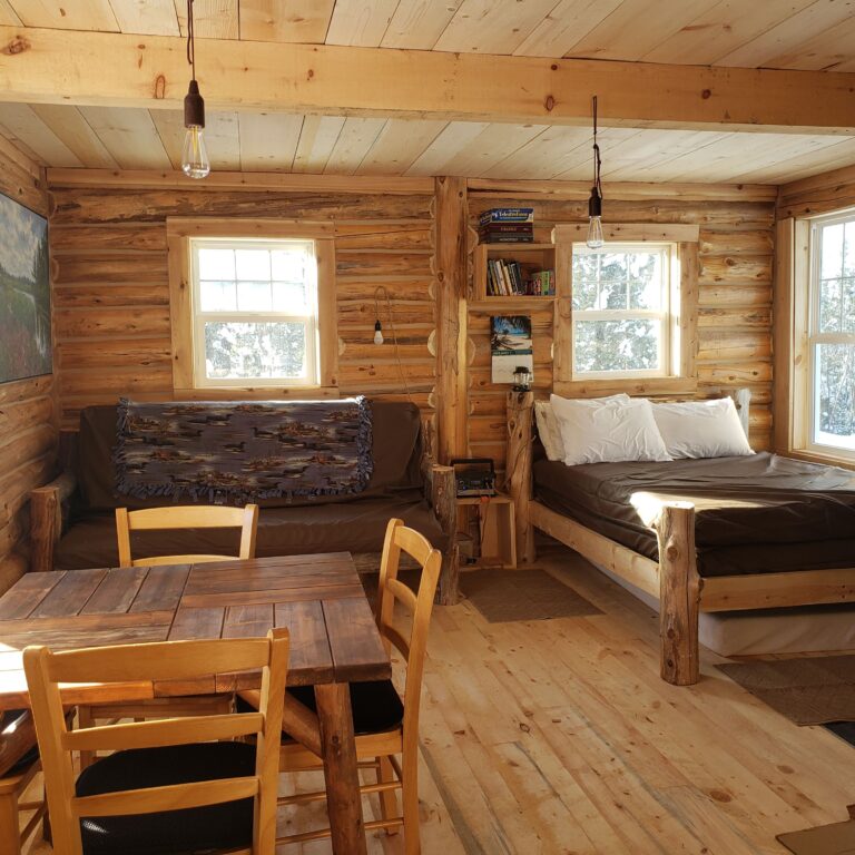 An inside view of the Bucksnort cabin. It has a couch, bed, and table.