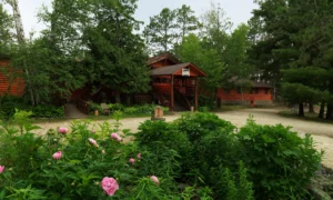 Burntside Lake Cabin Complex