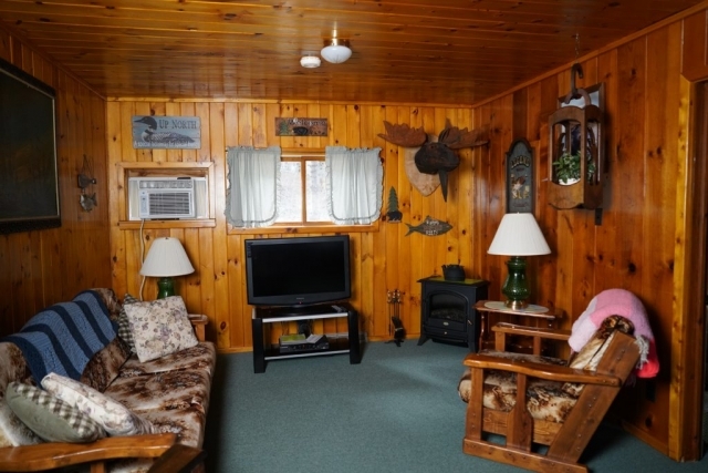 A view of the relaxing area in the Cedar cabin at Shagawa Beach Cabins. It has a couch, chair, television, and lamps.