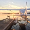 Dock