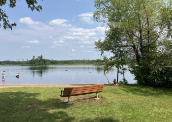 A view of a bench overlooking the lake at Fall Lake Campground.