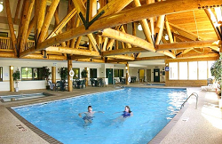 GEL POOL-Website