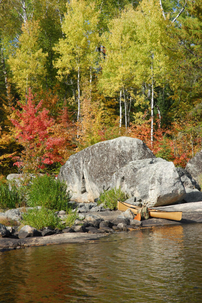 Page-1_46222ADB-5056-A36F-234CEB480D00E8B9-4622288e5056a36_46222b42-5056-a36f-230495cbf7886e8a