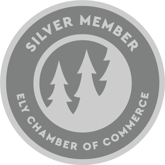 Silver_lg