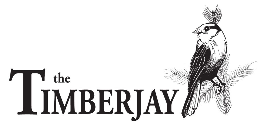 Timberjay Logo