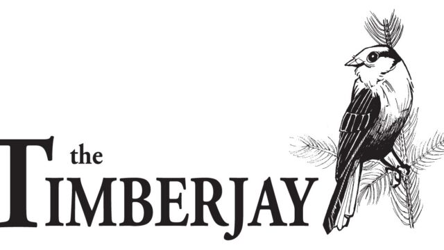 Timberjay Logo