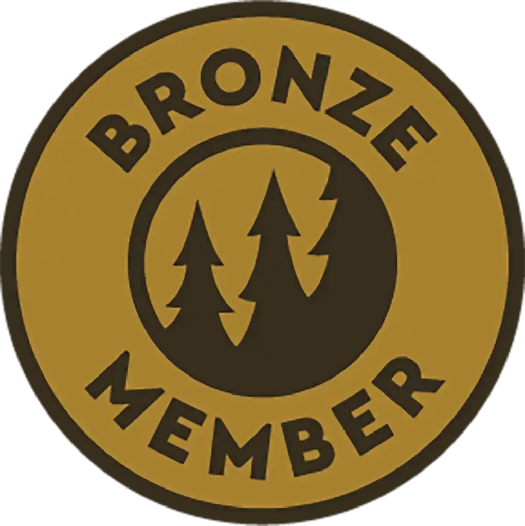 bronze_md