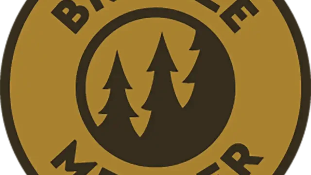 bronze_md
