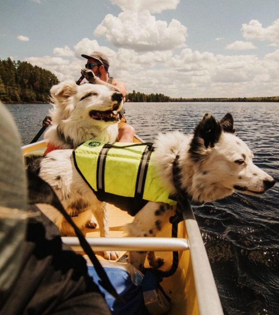 canoe