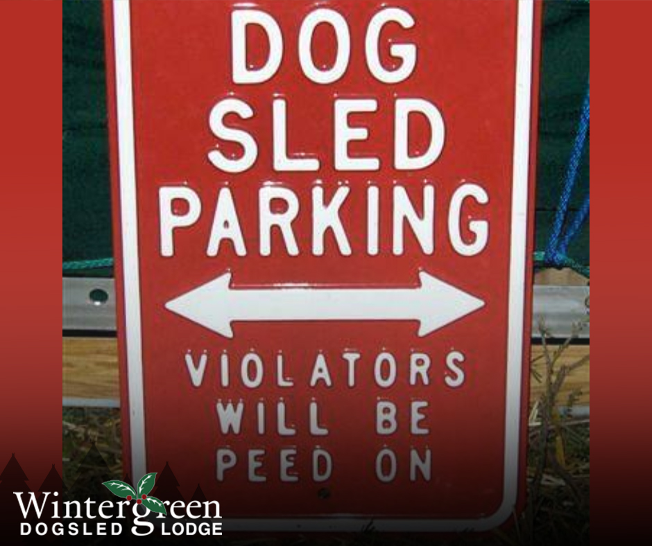 dogparking