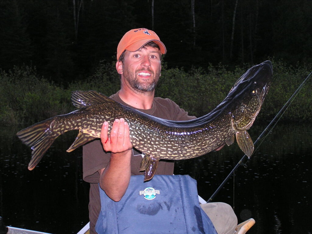 fish1