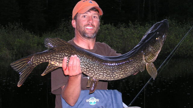 fish1