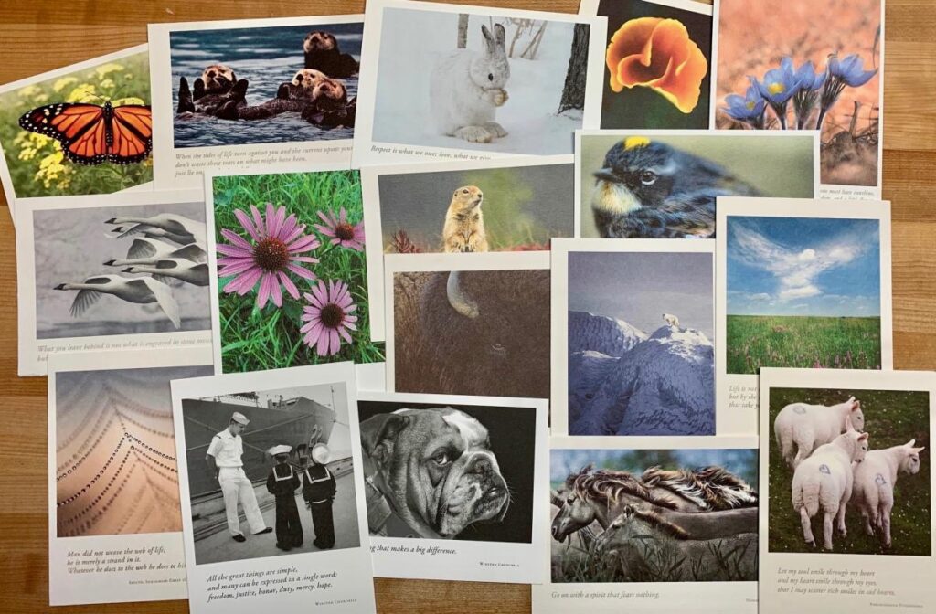 postcards_02D33550-5056-A36F-234A2FE63A393188-02d334b55056a36_02d33b0f-5056-a36f-23d1d017f2f0efcc
