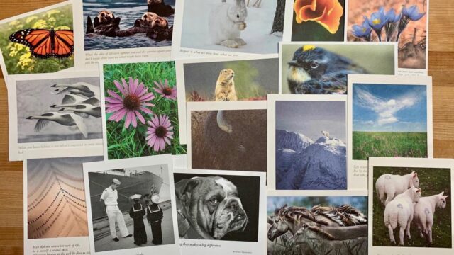 postcards_02D33550-5056-A36F-234A2FE63A393188-02d334b55056a36_02d33b0f-5056-a36f-23d1d017f2f0efcc