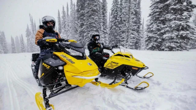 skidoo