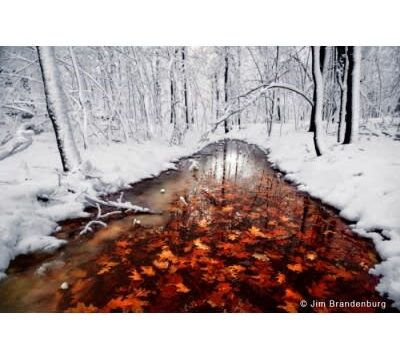 snow_02D6E7C5-5056-A36F-23625207E4E9BCBA-02d6e7635056a36_02d6ea9c-5056-a36f-2337de040a56d7af