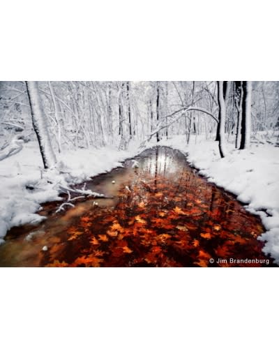 snow_02D6E7C5-5056-A36F-23625207E4E9BCBA-02d6e7635056a36_02d6ea9c-5056-a36f-2337de040a56d7af