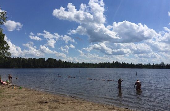 swimming-beach-bear-head