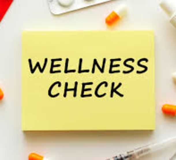 wellness DED82C3C D33C 3F9A 76CE1E7A8D90370C dee0efbd a0e5 67b5 721bffc1e345c577