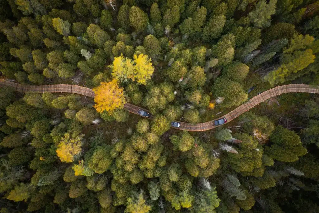 DJI 0486 e2d958c8 85ed 4363 8005 f7b40251f859