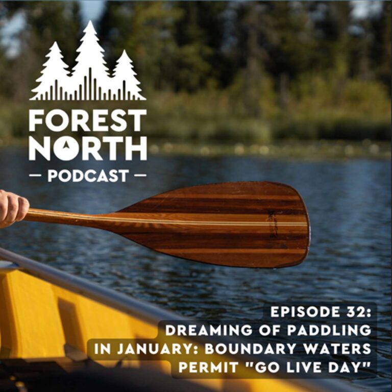 Dreaming of Paddling in January: Boundary Waters 2026 Permit “Go Live Day”